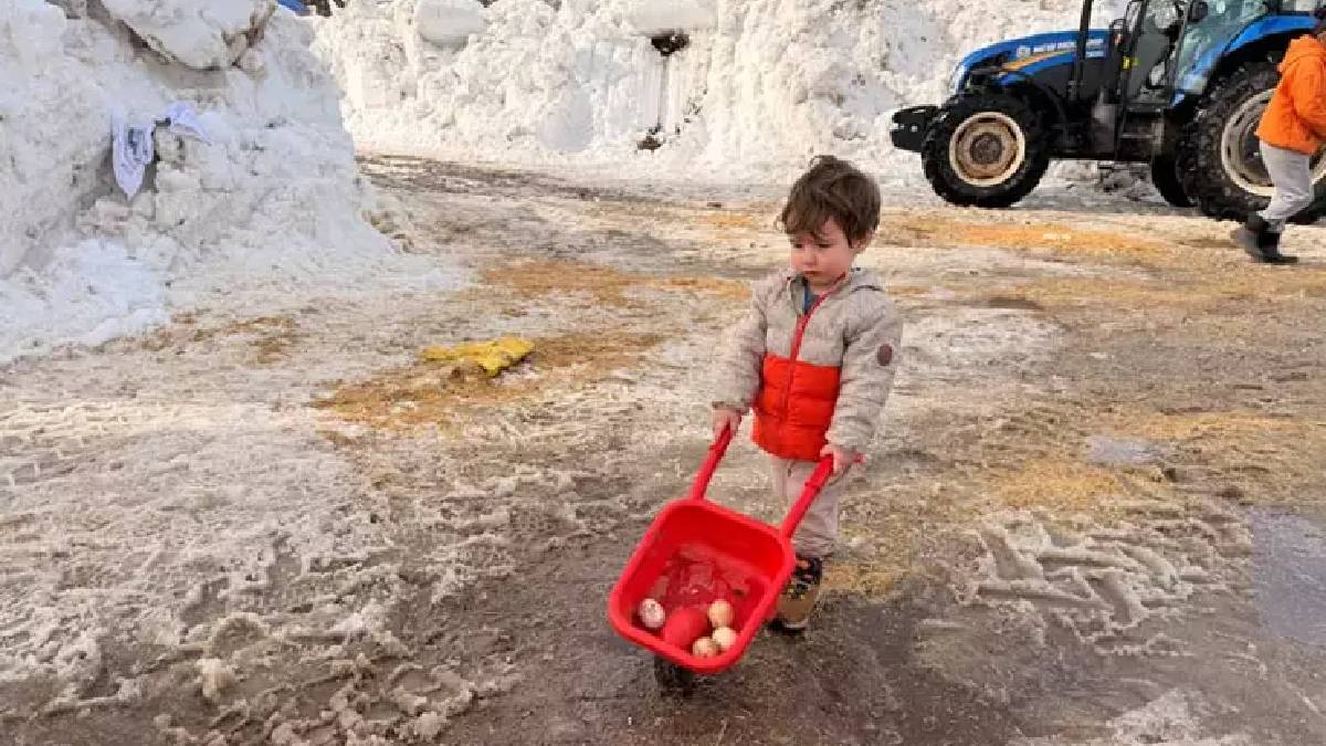 Kendi küçük, yaptıkları büyük! 2 yaşındaki küçük Güneş, tavuk yemliyor, süt sağıyor