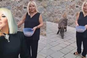 Safiye Soyman ne kedi besledi ne de köpek! Kapısına gelen domuzu elleriyle besledi