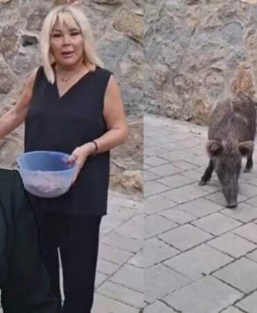 Safiye Soyman ne kedi besledi ne de köpek! Kapısına gelen domuzu elleriyle besledi