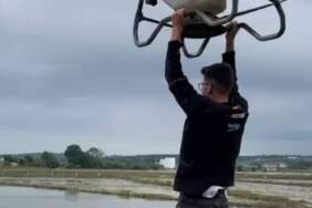 Samsun’da tehlikeli yolculuk: Tarlanın bir ucundan diğer ucuna uçtu!