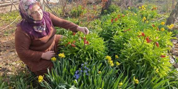 ‘Ağlayan Gelin’ güzelliğiyle büyülüyor: Göz alıcı şölen bir mahallede başladı