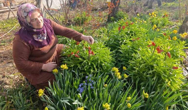 ‘Ağlayan Gelin’ güzelliğiyle büyülüyor: Göz alıcı şölen bir mahallede başladı