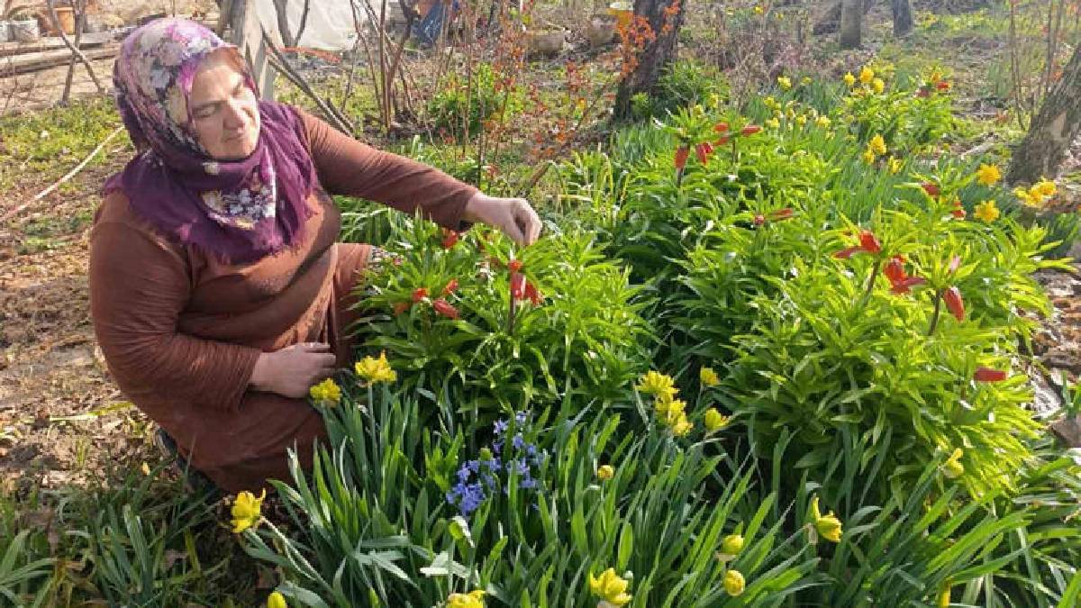 ‘Ağlayan Gelin’ güzelliğiyle büyülüyor: Göz alıcı şölen bir mahallede başladı