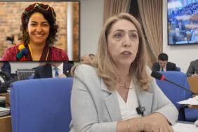 DEM Partili Aydeniz görevinden istifa etti