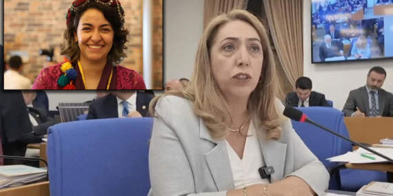 DEM Partili Aydeniz görevinden istifa etti