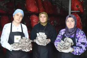 Samsun’da yetişiyor, yılda 60 ton toplanıyor! 3 kadın el ele verdi, kurutup yurt dışına gönderecek