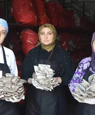 Samsun’da yetişiyor, yılda 60 ton toplanıyor! 3 kadın el ele verdi, kurutup yurt dışına gönderecek