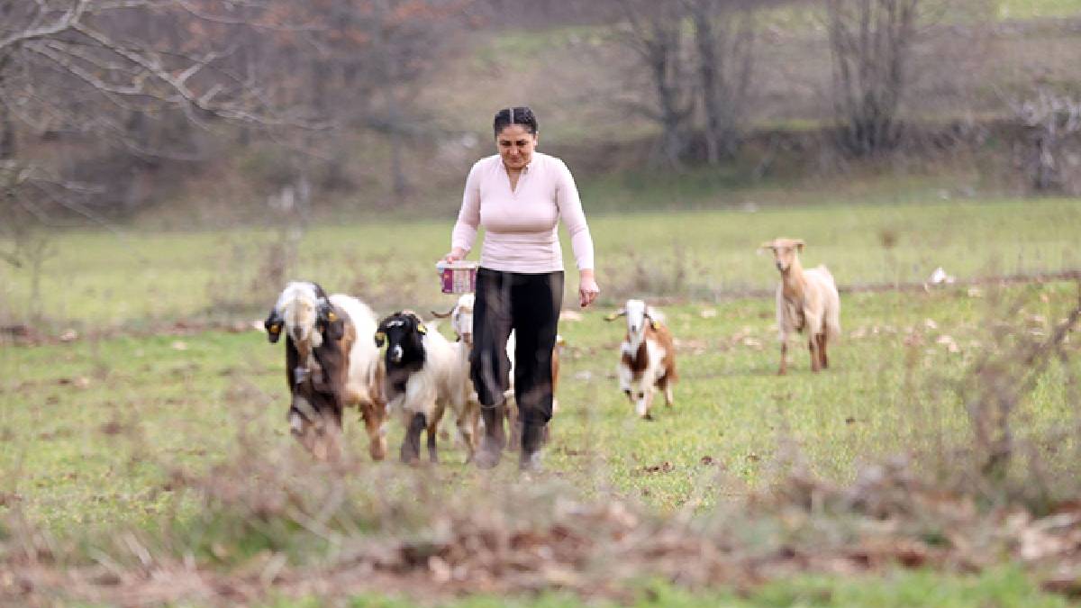 Kamp yapmaya gitti yerleşme kararı aldı: Her şeyi en doğalından elleriyle yapıyor