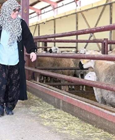 Muhasebecilikten patronluğa geçti: Devlet destekledi sürüsü 103’ten 800’e çıktı