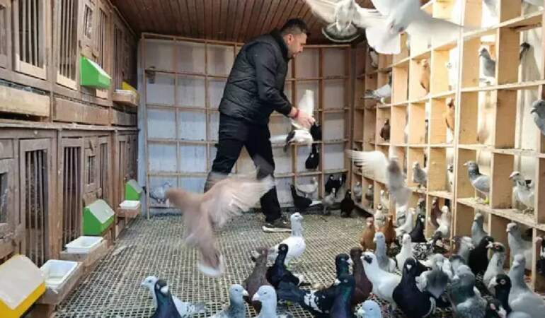 Memurluktan çocukluk hayaline geçiş yaptı! Bir tanesinin fiyatı 1 milyon lirayı buluyor
