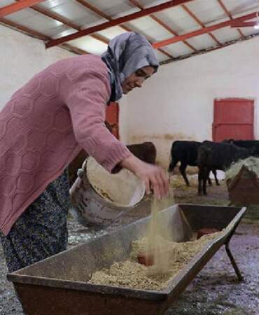 Devlet desteği hayvancılık kariyerini başlattı: 5 ayda sayılarını 2 kat artırdı