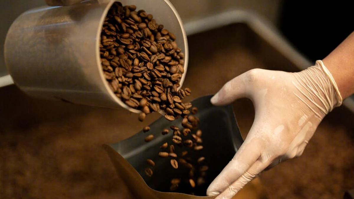 Kahve posaları bile ziyan edilmiyor! Tek tek toplanıyor, çevre dostu ürünlere dönüşüyor