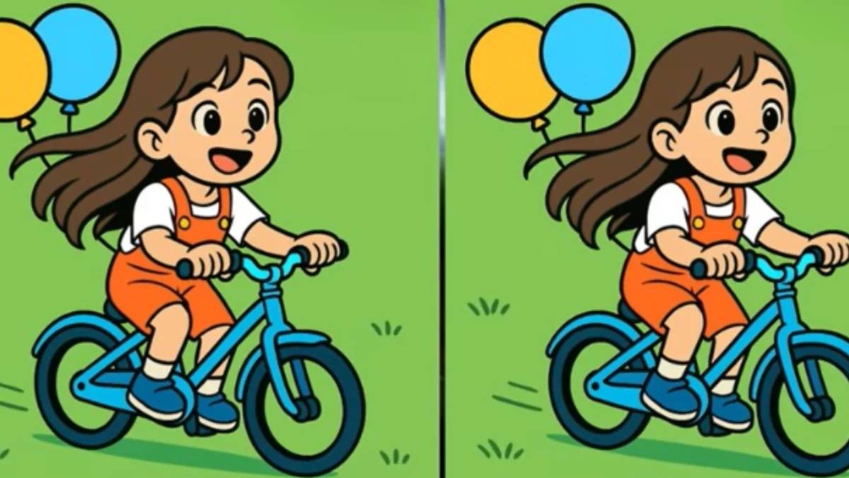 Zeka sınırlarını zorlayan test: 14 saniyede 3 farkı bulabilecek kadar dikkatli misiniz?