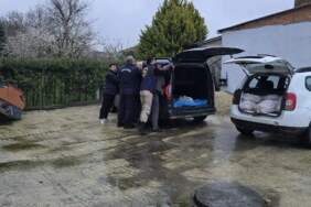 Silivri’de at eti operasyonu: 306 kilogram ele geçirildi