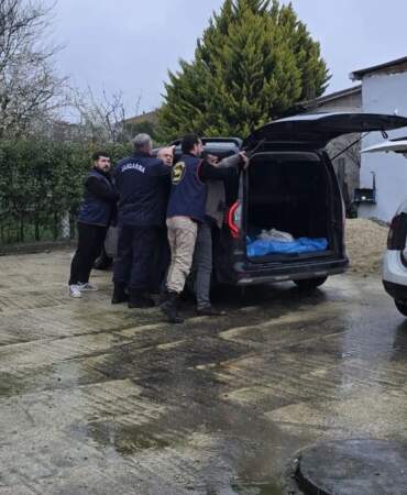 Silivri’de at eti operasyonu: 306 kilogram ele geçirildi