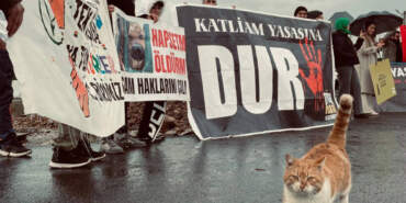 40 Köpek Çöplükte Ölü Bulunmuştu: Balıkesir Edremit’teki Hayvan Katliamına Soruşturma