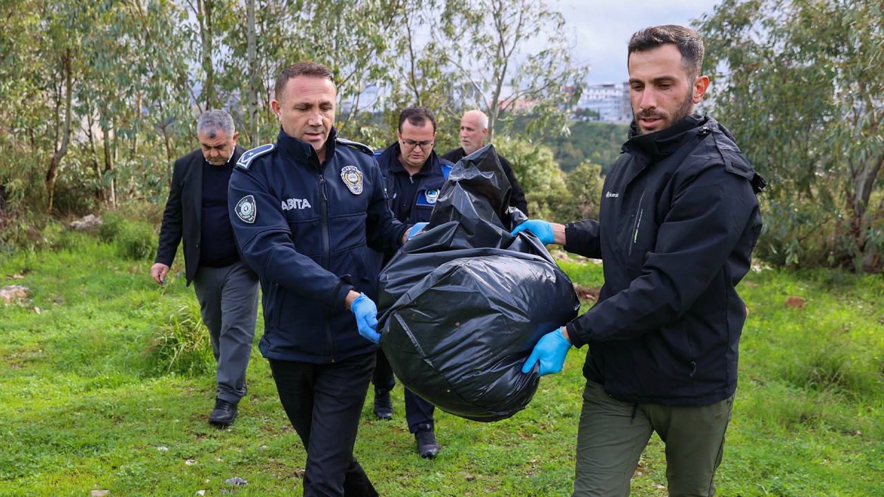 Buca’da Hayvan Katliamı! Sonuçlar Çıktı, Zehirleyerek Öldürmüşler
