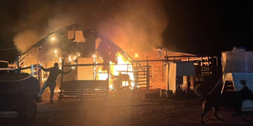 Çiftlikte Yangın Faciası! 580 Hayvan Öldü