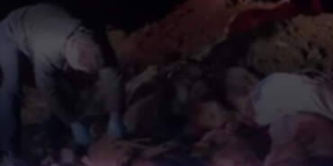 Edremit’te Hayvan Katliamı: Çöplükte Onlarca Köpeğin Cansız Bedeni Bulundu