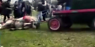 İsyan Ettiren Görüntüler: Ata Bayıltana Kadar Şiddet!