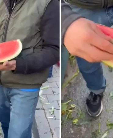 Karpuzu daha kırmızı göstermek için yaptığı rezilliğe bakın