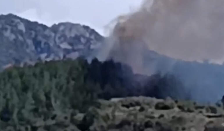Osmaniye’de Orman Yangını