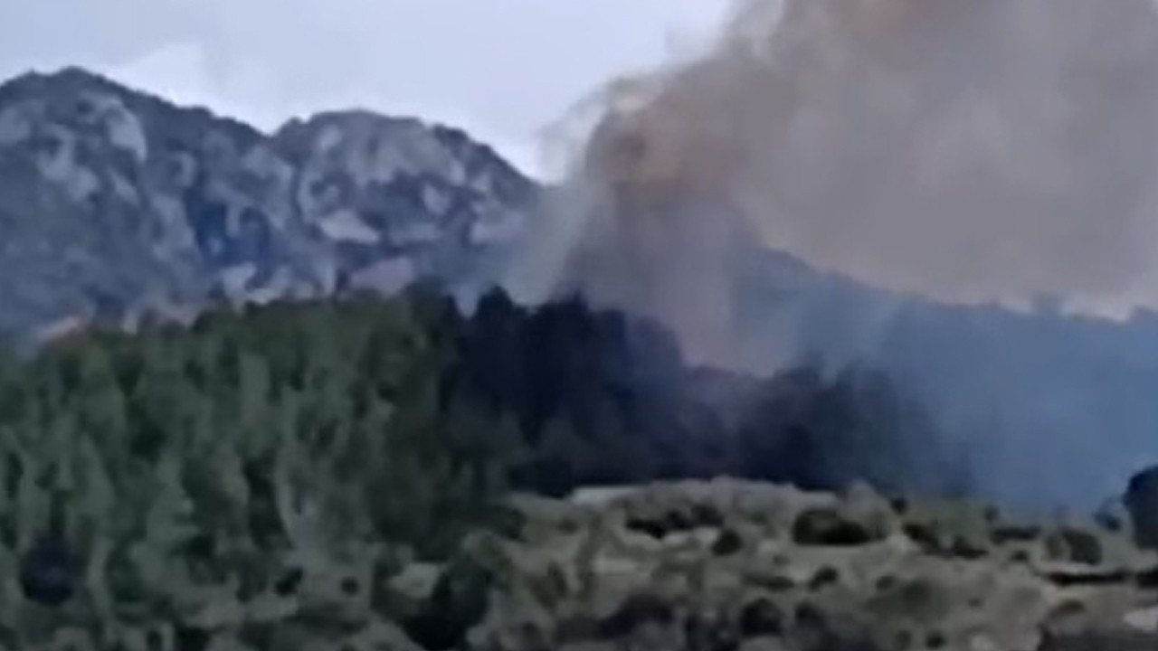 Osmaniye’de Orman Yangını