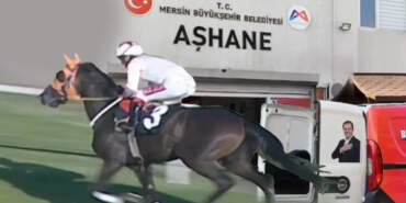 Şampiyon Yarış Atı Aşevinde Nasıl Kavurma Oldu? Sahibi Sessizliğini Bozdu: Hayır Yapmak İstemiştik