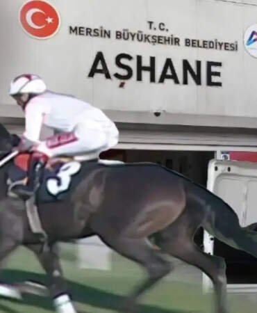 Şampiyon Yarış Atı Aşevinde Nasıl Kavurma Oldu? Sahibi Sessizliğini Bozdu: Hayır Yapmak İstemiştik