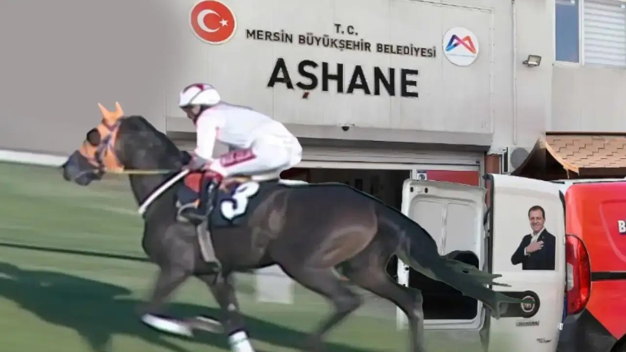 Şampiyon Yarış Atı Aşevinde Nasıl Kavurma Oldu? Sahibi Sessizliğini Bozdu: Hayır Yapmak İstemiştik