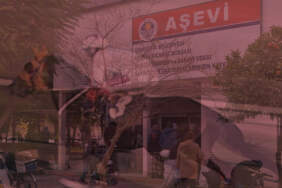 Şampiyon Yarış Atı ‘Smart Latch’ Aşevindeki Kavurmanın İçinden Çıktı: Mersin’de Büyük Skandal