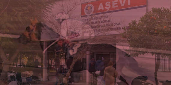 Şampiyon Yarış Atı ‘Smart Latch’ Aşevindeki Kavurmanın İçinden Çıktı: Mersin’de Büyük Skandal
