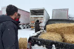 Erzincan’da Mahsur Kalan TIR’lara Yem Desteği