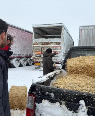 Erzincan’da Mahsur Kalan TIR’lara Yem Desteği