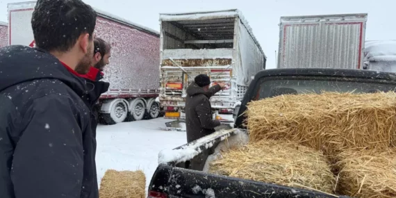 Erzincan’da Mahsur Kalan TIR’lara Yem Desteği
