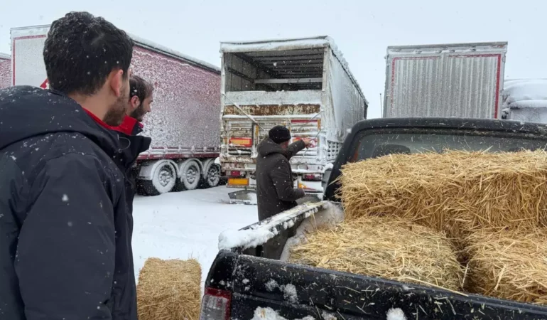 Erzincan’da Mahsur Kalan TIR’lara Yem Desteği