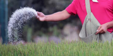 ‘Türkiye’de Gübre Krizi Yaşanıyor’ İddiasına DMM’den Açıklama