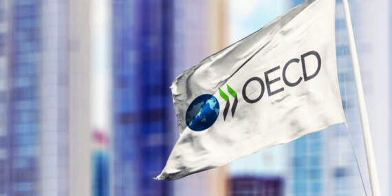 OECD’den Türkiye raporu: Potansiyel çok büyük ancak kapsamlı reform şart