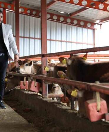 20 yaşında dede mesleğini devraldı, patron oldu: ‘Sevdiğiniz işi yapın, gerisi önemsiz’