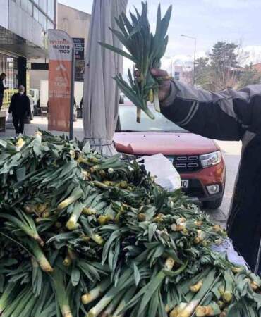 Doğadan gelen antibiyotik: Kilosu 200 TL’den tezgahta