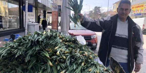 Doğadan gelen antibiyotik: Kilosu 200 TL’den tezgahta