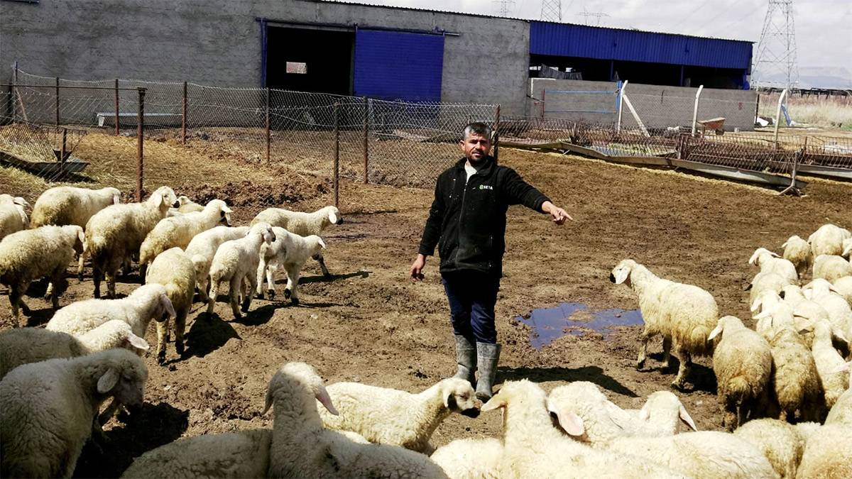 Besicilerden gençlere çağrı: “80 bin liraya çoban bulamıyoruz”