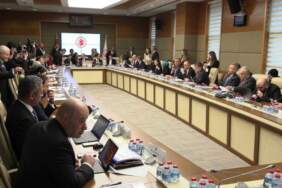 Sosyal medya ve doğum izni düzenlemesi: Komisyonda görüşmeler başladı