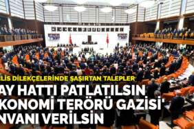 Fay hattı patlatılsın, büyü yasaklansın: Meclis dilekçelerinde şaşırtan talepler