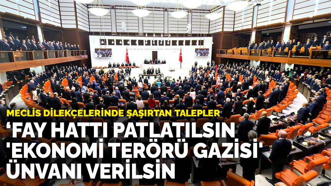 Fay hattı patlatılsın, büyü yasaklansın: Meclis dilekçelerinde şaşırtan talepler