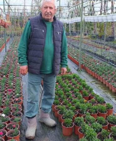 Memurluktan emekli oldu kendini fidanlara adadı: Tam 500 çeşidi sağlığına kavuşturdu