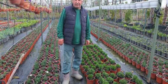 Memurluktan emekli oldu kendini fidanlara adadı: Tam 500 çeşidi sağlığına kavuşturdu