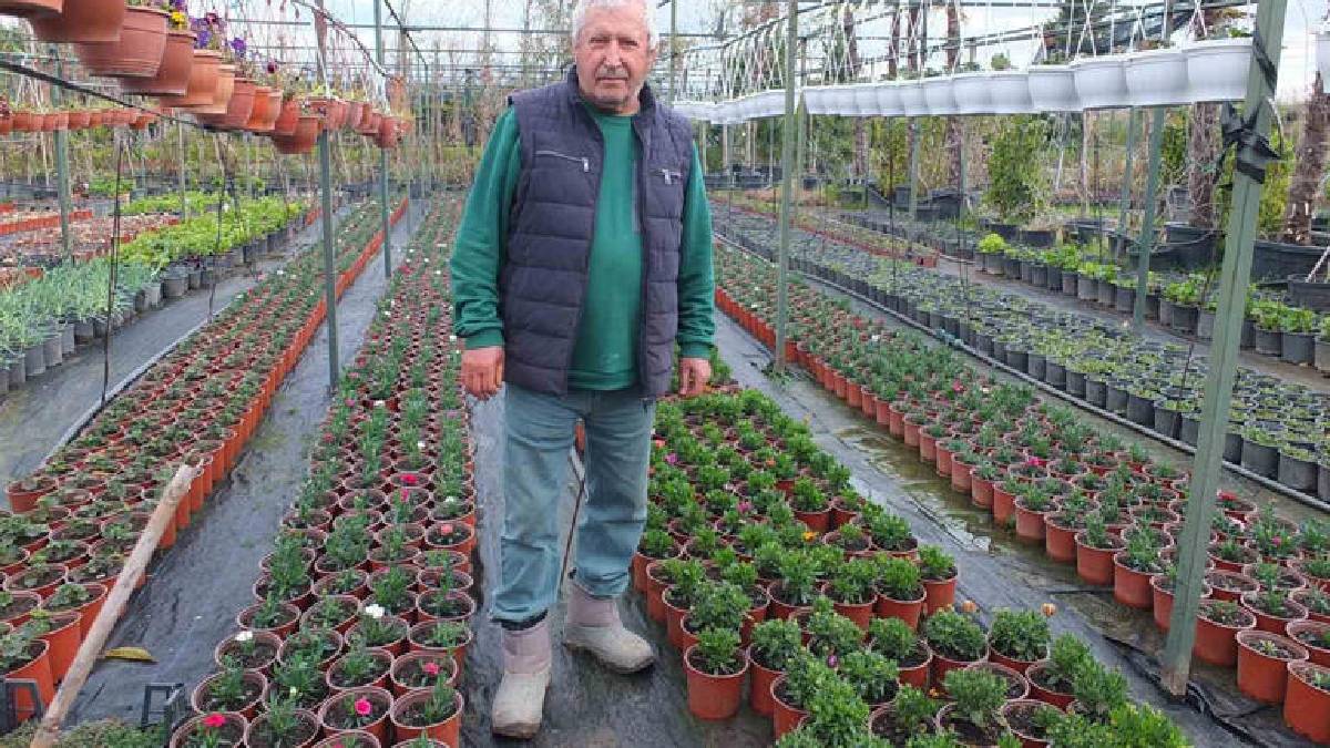 Memurluktan emekli oldu kendini fidanlara adadı: Tam 500 çeşidi sağlığına kavuşturdu