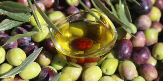 40 yıllık zeytin firması konkordato ilan etti