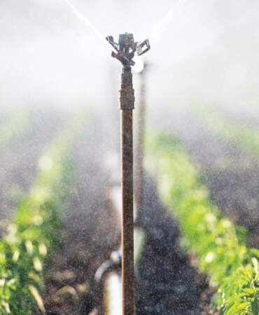 Tarlada ‘şalter’ çıkmazı: Yüzde 25’lik elektrik zammı çiftçiyi daha tohum ekmeden vurdu